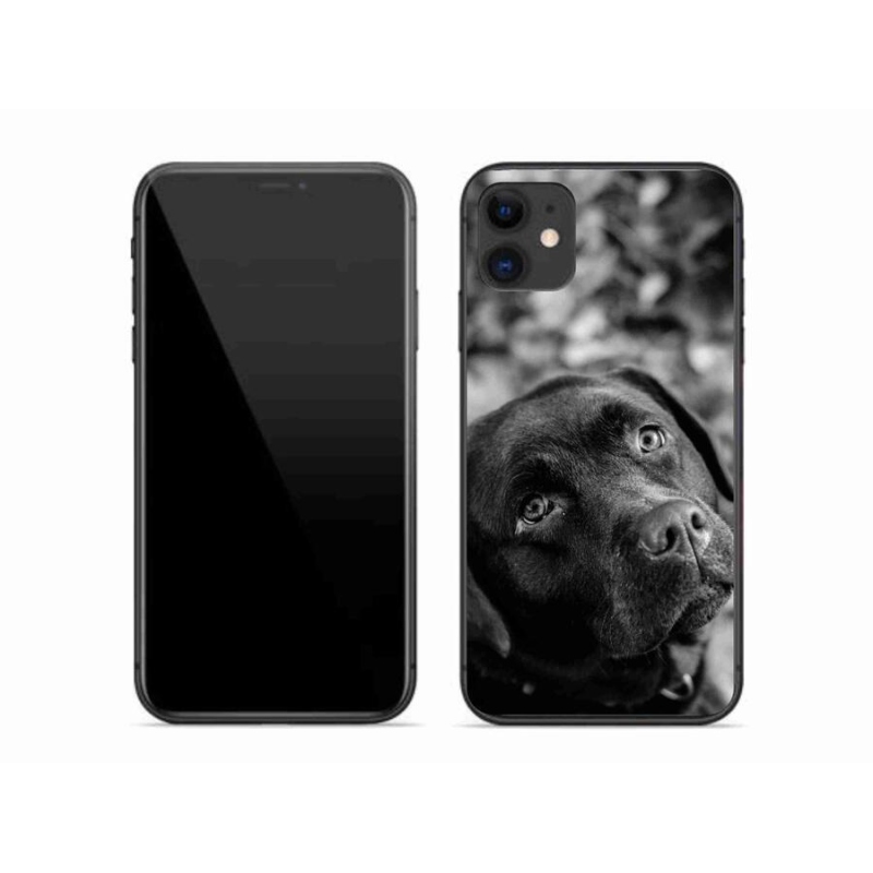 Gél tok mmCase iPhone 11 készülékhez - labrador