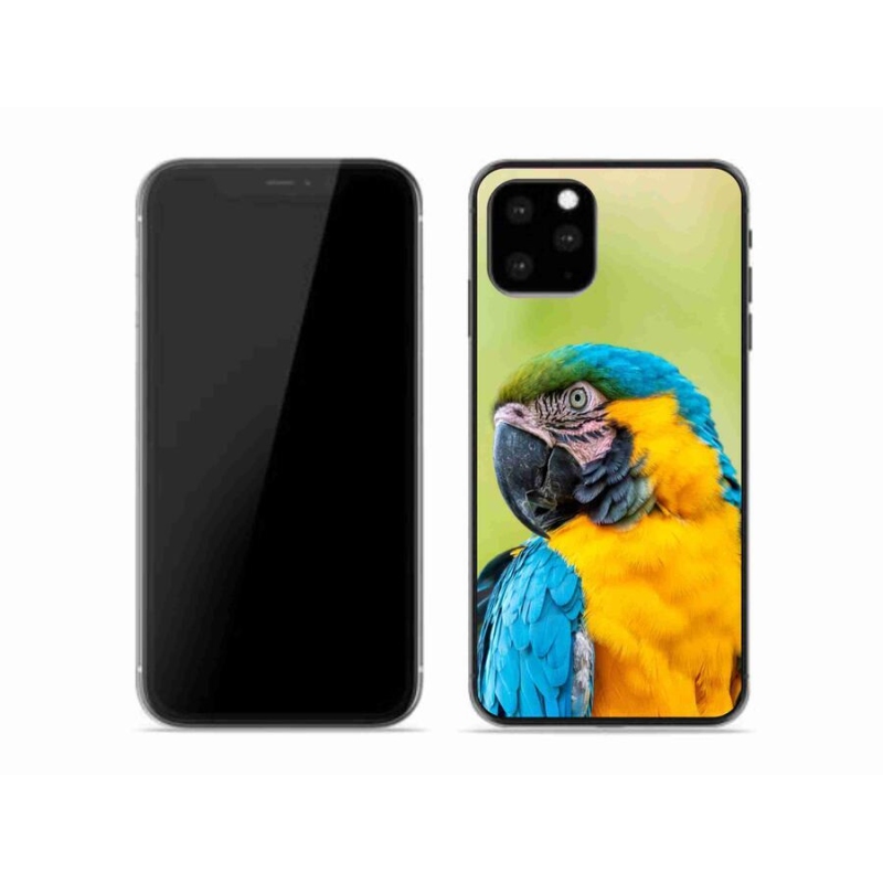 Gél tok mmCase iPhone 11 Pro készülékhez - papagáj ara 2