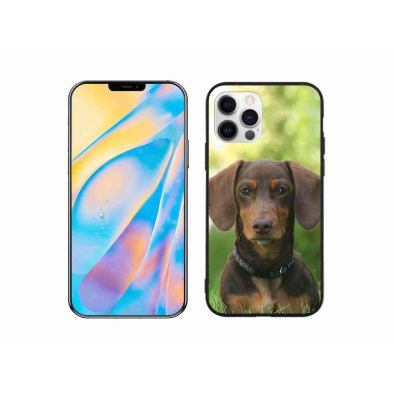 Gél tok mmCase iPhone 12 készülékhez - barna tacskó