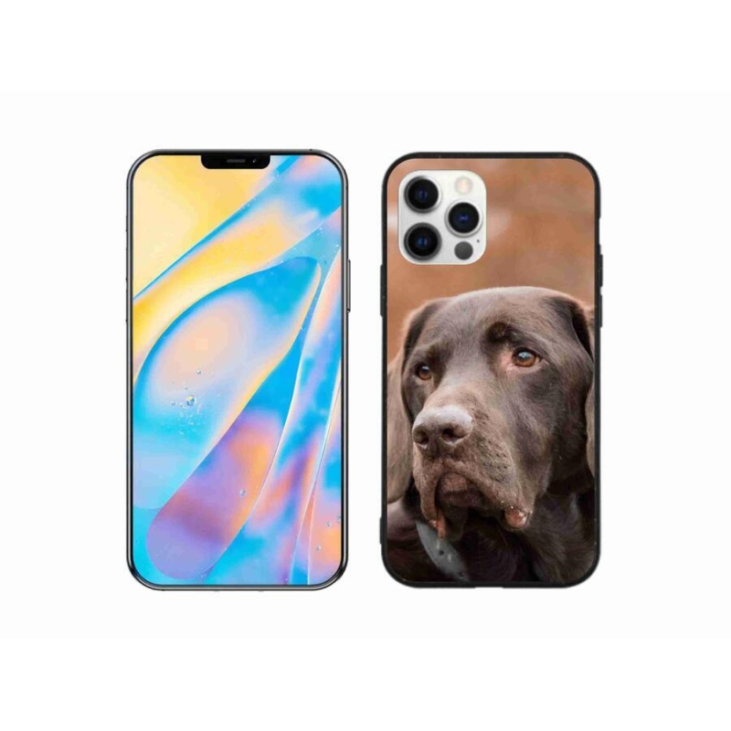 Gél tok mmCase iPhone 12 készülékhez - barna labrador