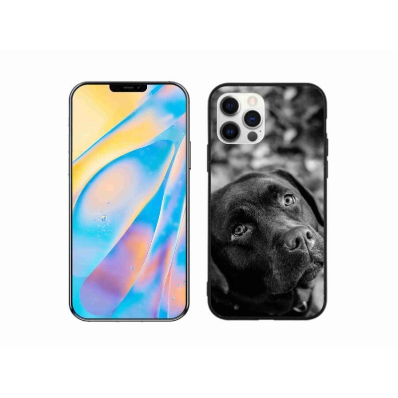 Gél tok mmCase iPhone 12 készülékhez - labrador