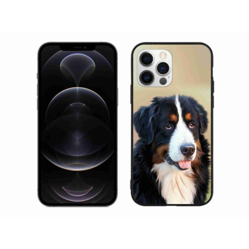 Gél tok mmCase iPhone 12 Pro Max készülékhez - Berni hegyi kutya