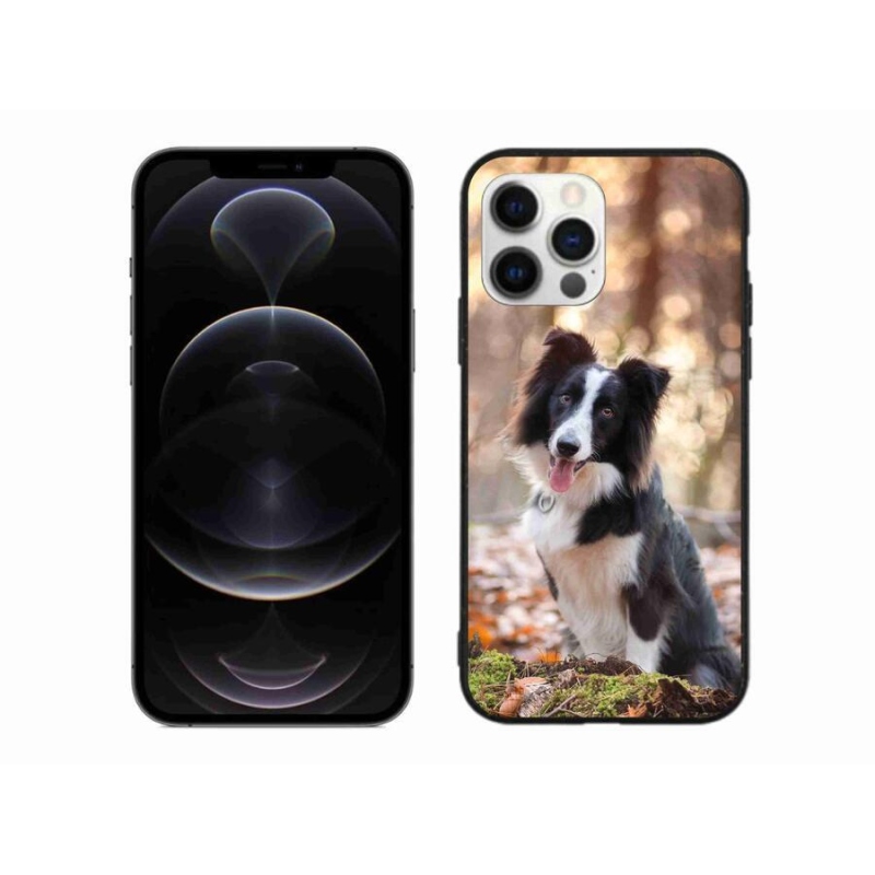 Gél tok mmCase iPhone 12 Pro Max készülékhez - border colie 1