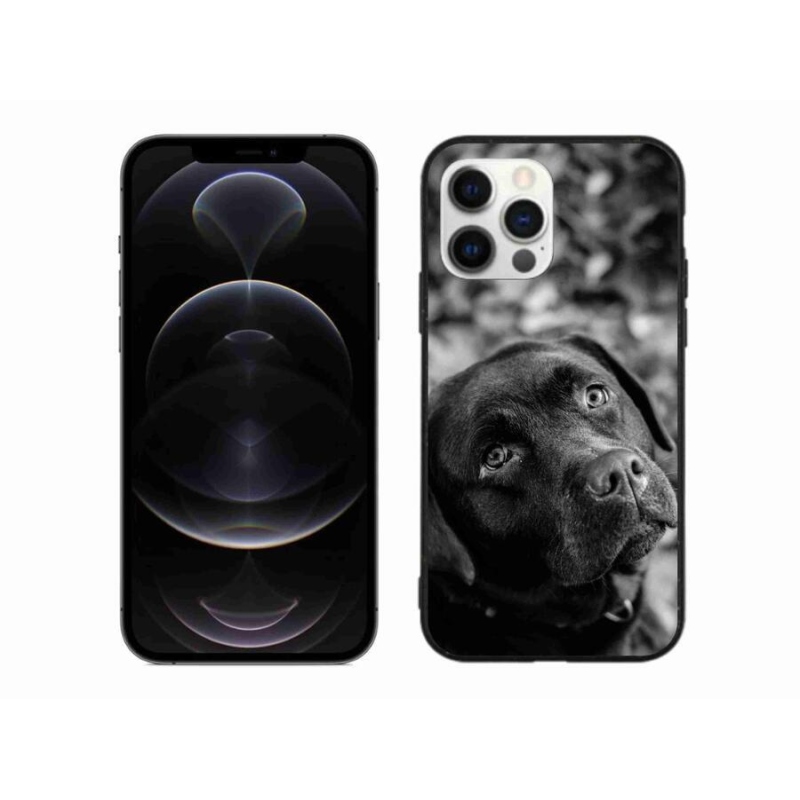 Gél tok mmCase iPhone 12 Pro Max készülékhez - labrador