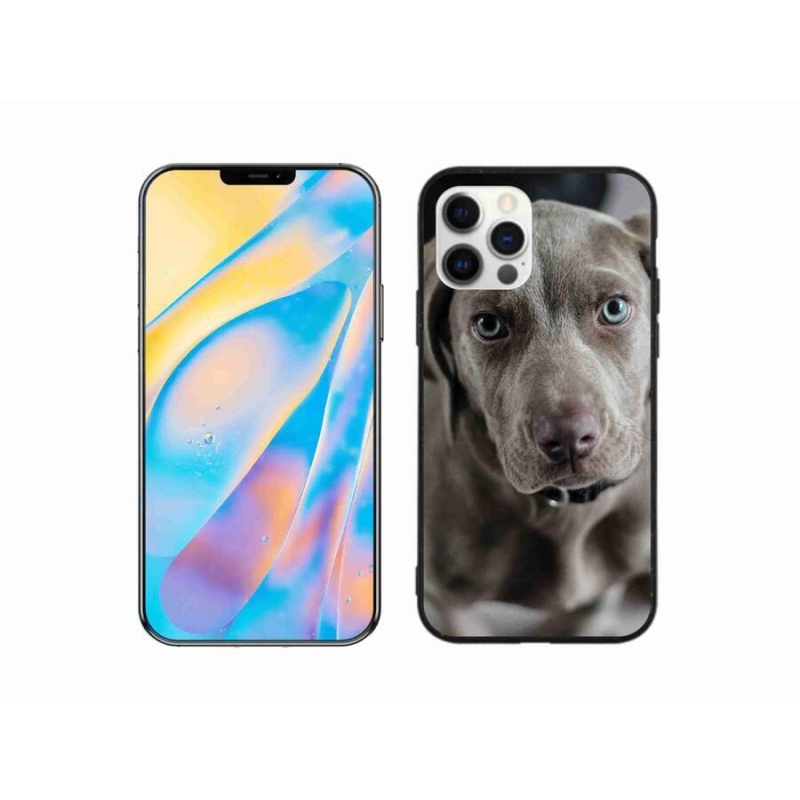Gél tok mmCase iPhone 12 készülékhez - výmarský ohař