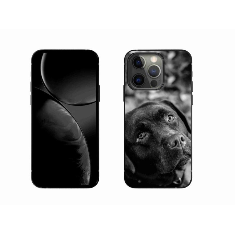 Gél tok mmCase iPhone 13 Pro 6.1 készülékhez - labrador színű