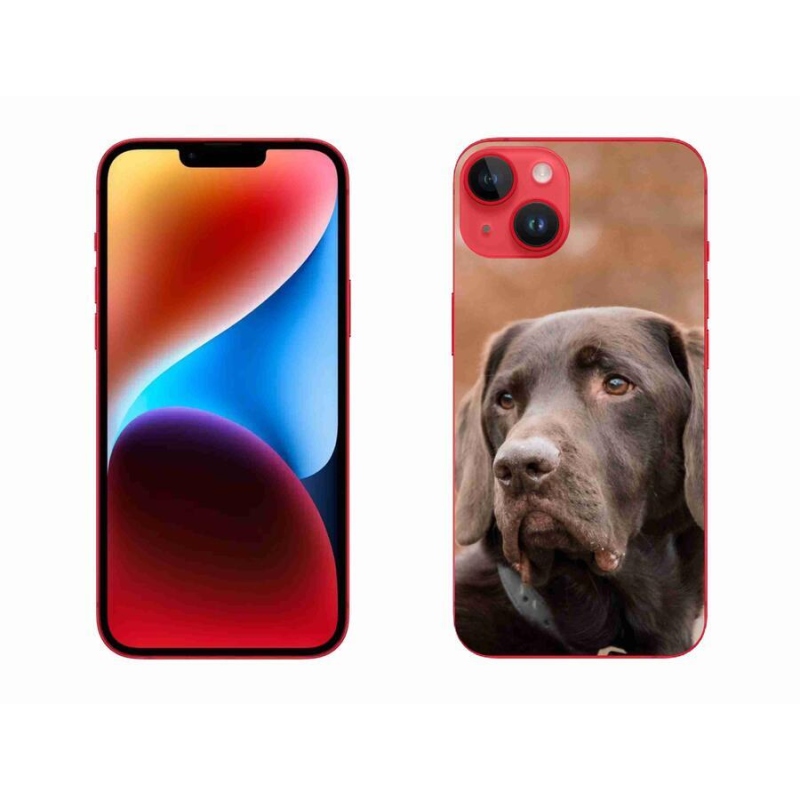 Gél tok mmCase iPhone 14 Plus készülékre - barna labrador