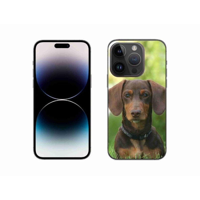 Gél tok mmCase iPhone 14 Pro 6.1 készülékhez - barna tacskó