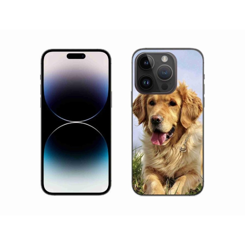Gél tok mmCase iPhone 14 Pro 6.1 készülékhez - arany retriever