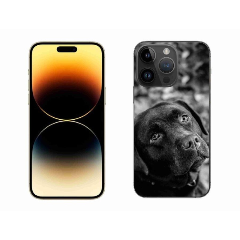 Gél tok mmCase iPhone 14 Pro Max 6.7 készülékhez - labrador színben