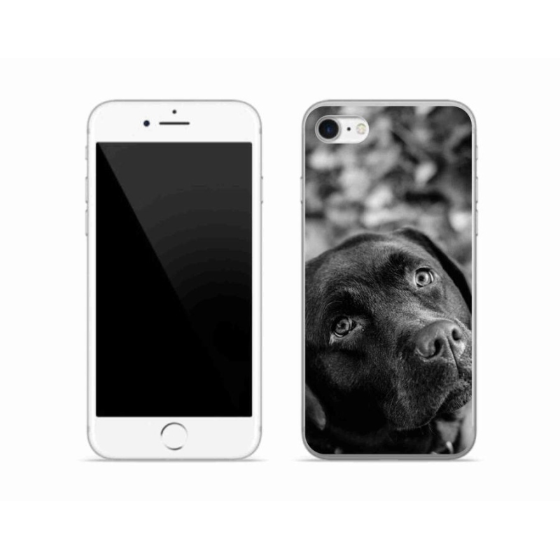 Gél tok mmCase iPhone 7 készülékhez - labrador
