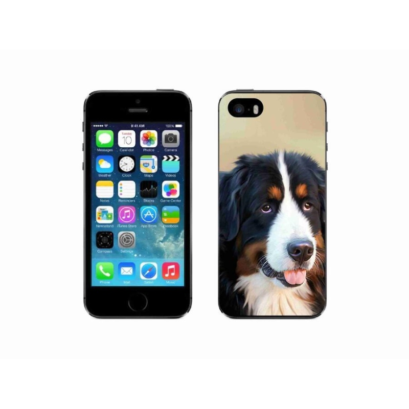Gél tok mmCase iPhone SE (2016) készülékhez - Berni hegyikutya