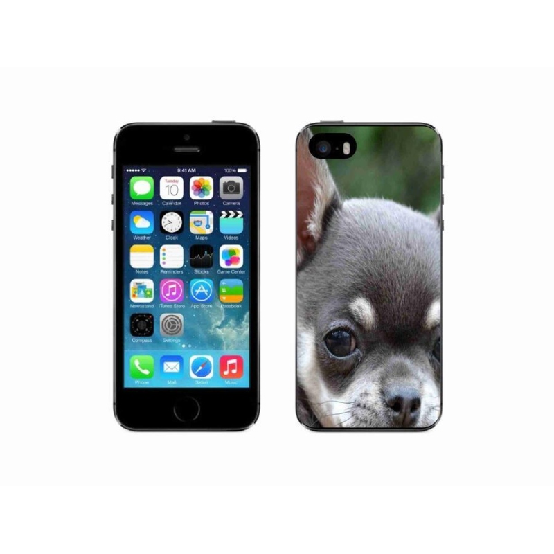 Gél tok mmCase iPhone SE (2016) készülékhez - chihuahua