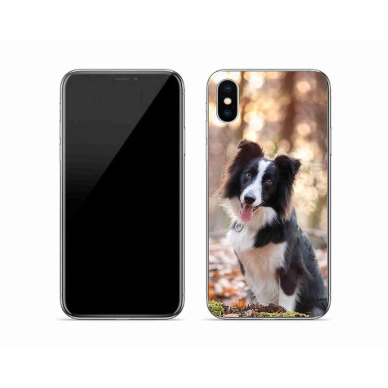 Gél tok mmCase iPhone X készülékhez - border colie 1