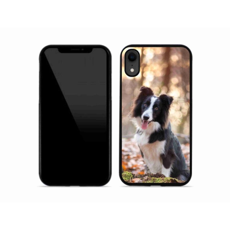 Gél tok mmCase iPhone XR készülékhez - border colie 1
