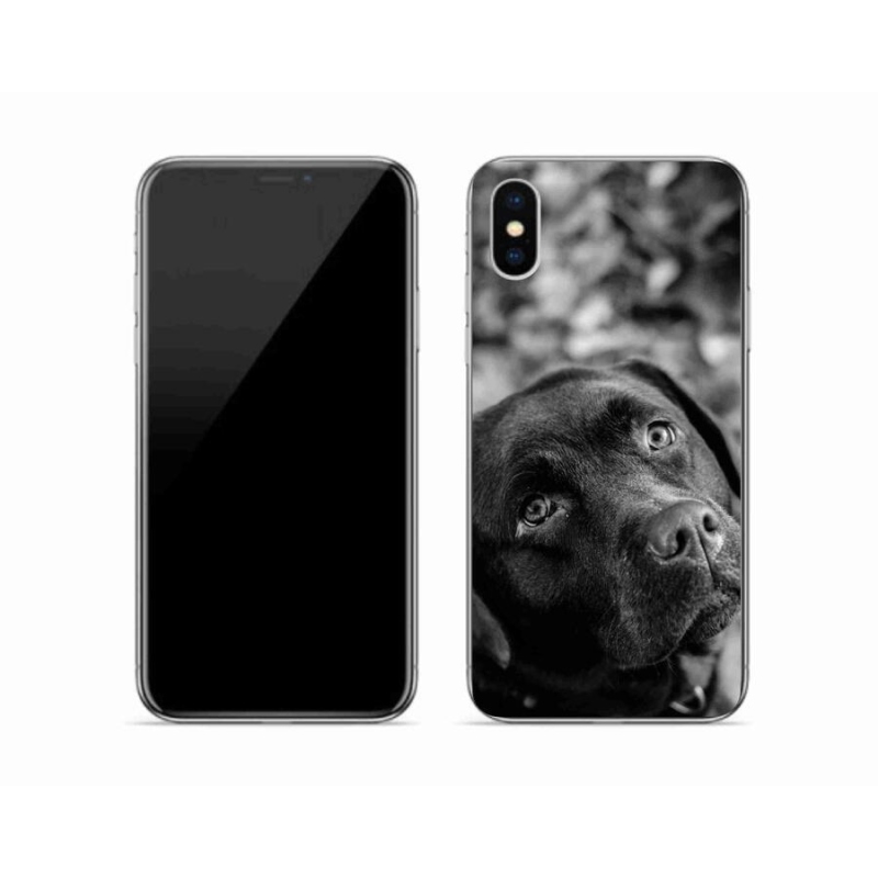 Gél tok mmCase iPhone XS készülékhez - labrador