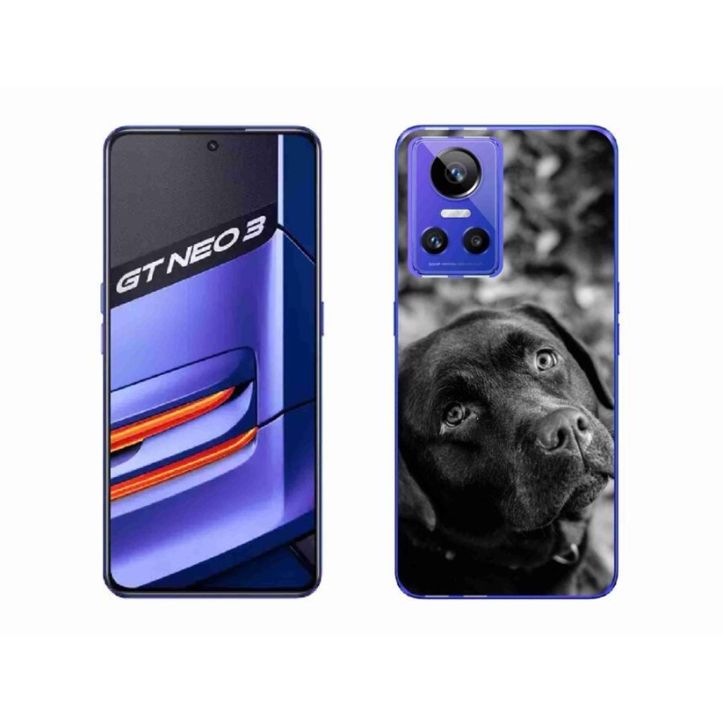 Gél tok mmCase mobiltelefonhoz Realme GT Neo 3 - labrador