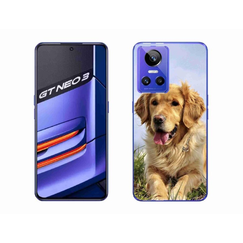 Gél tok mmCase mobiltelefonhoz Realme GT Neo 3 - arany retriever