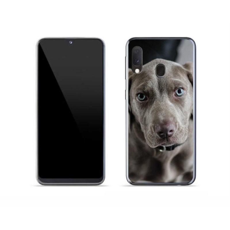 Gél tok mmCase a Samsung Galaxy A20e készülékhez - výmarský ohař