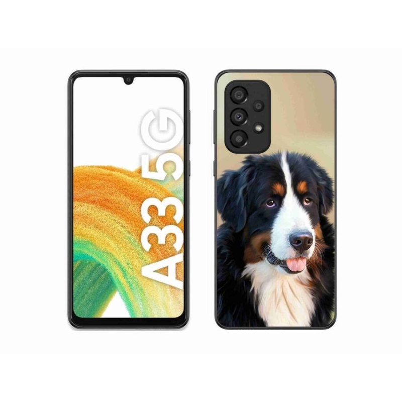 Gél tok mmCase Samsung Galaxy A33 5G - Berni hegyi kutya - Samsung Galaxy A33 5G számára