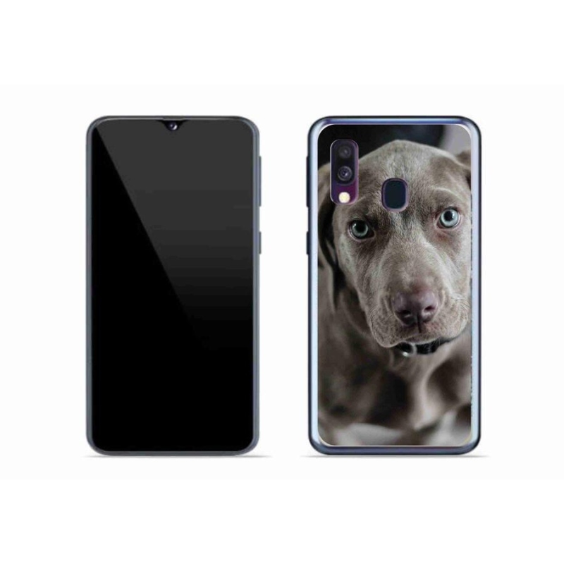 Gél tok mmCase a Samsung Galaxy A40 készülékhez - výmarský ohař