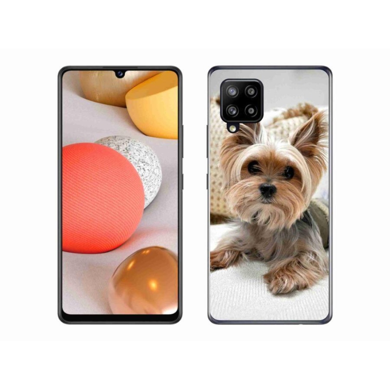 Gél tok mmCase Samsung Galaxy A42 5G - Yorkshire 5