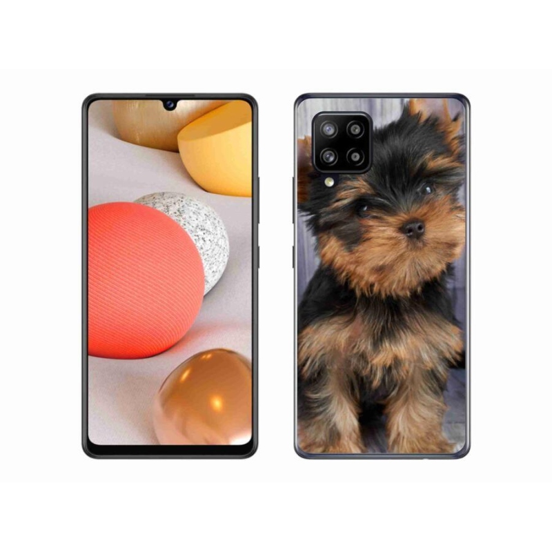 Gél tok mmCase Samsung Galaxy A42 5G - Yorkshire 9
