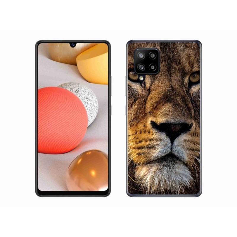 Gél tok mmCase Samsung Galaxy A42 5G-hez - oroszlán