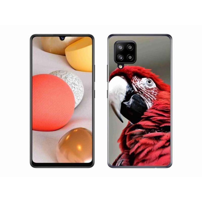Gél tok mmCase Samsung Galaxy A42 5G - papagáj ara piros