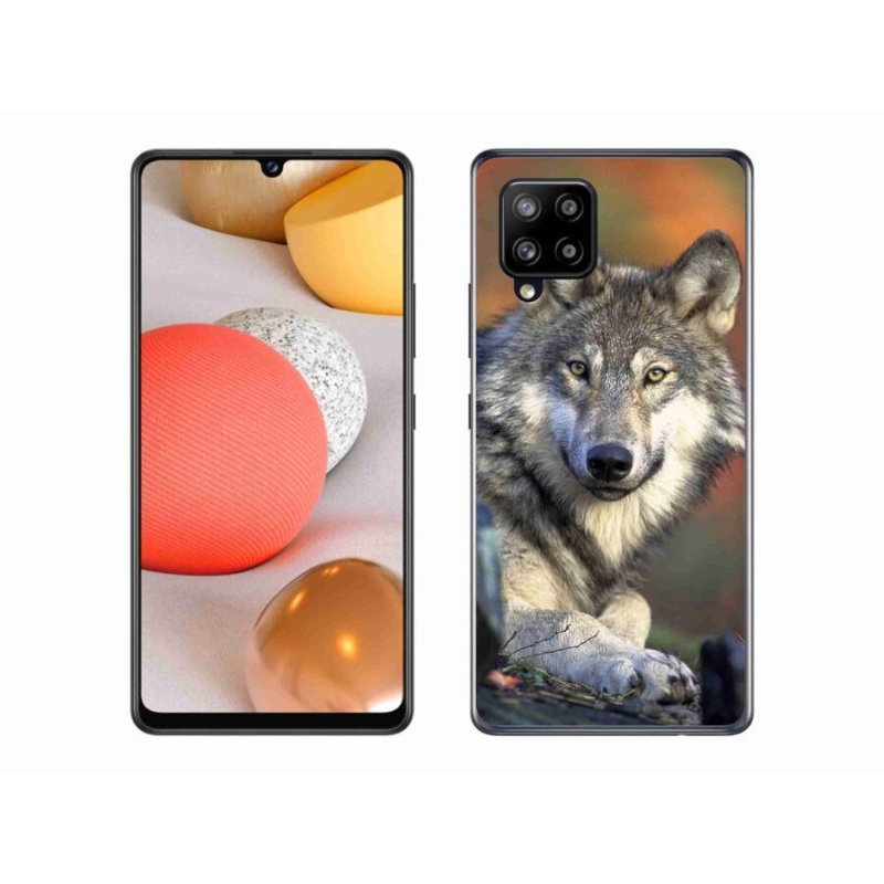 Gél tok mmCase Samsung Galaxy A42 5G - farkas