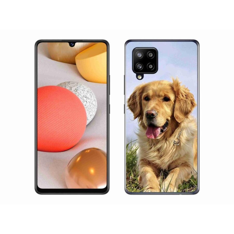 Gél tok mmCase Samsung Galaxy A42 5G - arany retrieverhez