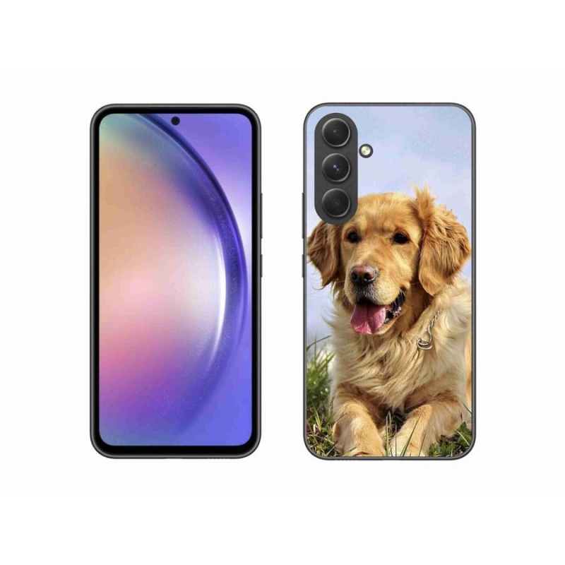 Gél tok mmCase Samsung Galaxy A54 5G - arany retrieverhez