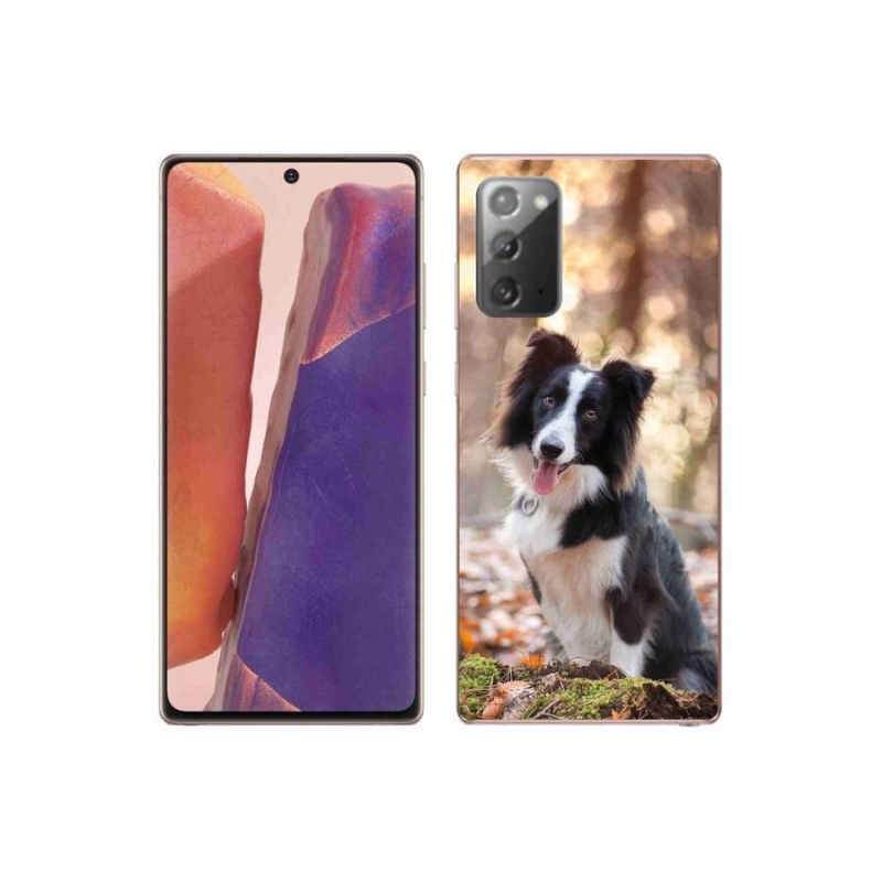 Gél tok mmCase Samsung Galaxy Note 20/Note 20 5G - border colie 1