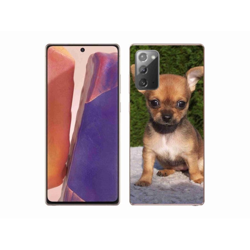 Gél tok mmCase Samsung Galaxy Note 20/Note 20 5G - chihuahua 3