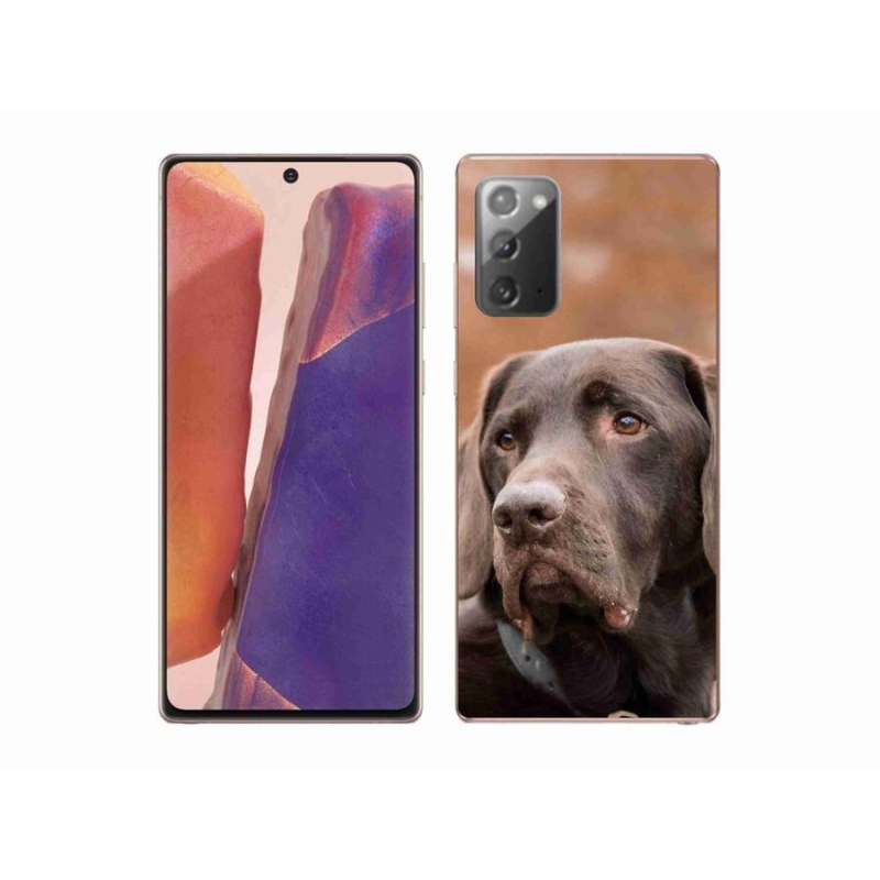 Gél tok mmCase a Samsung Galaxy Note 20/Note 20 5G készülékhez - barna labrador