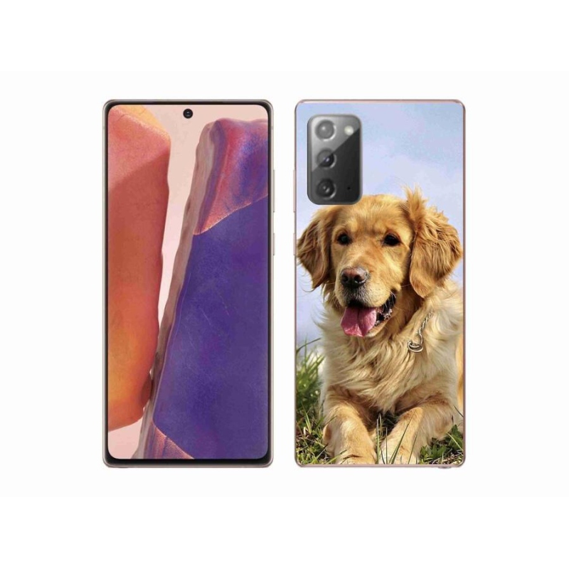 Gél tok mmCase Samsung Galaxy Note 20/Note 20 5G - arany retriever