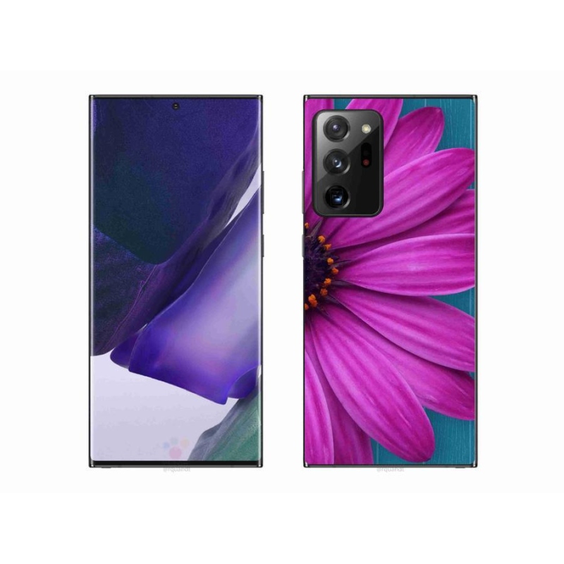 Gél tok mmCase mobiltelefonhoz Samsung Galaxy Note 20 Ultra - lila százszorszép
