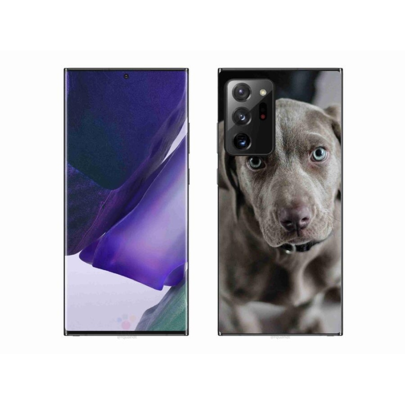 Gél tok mmCase a Samsung Galaxy Note 20 Ultra készülékhez - výmarský ohař