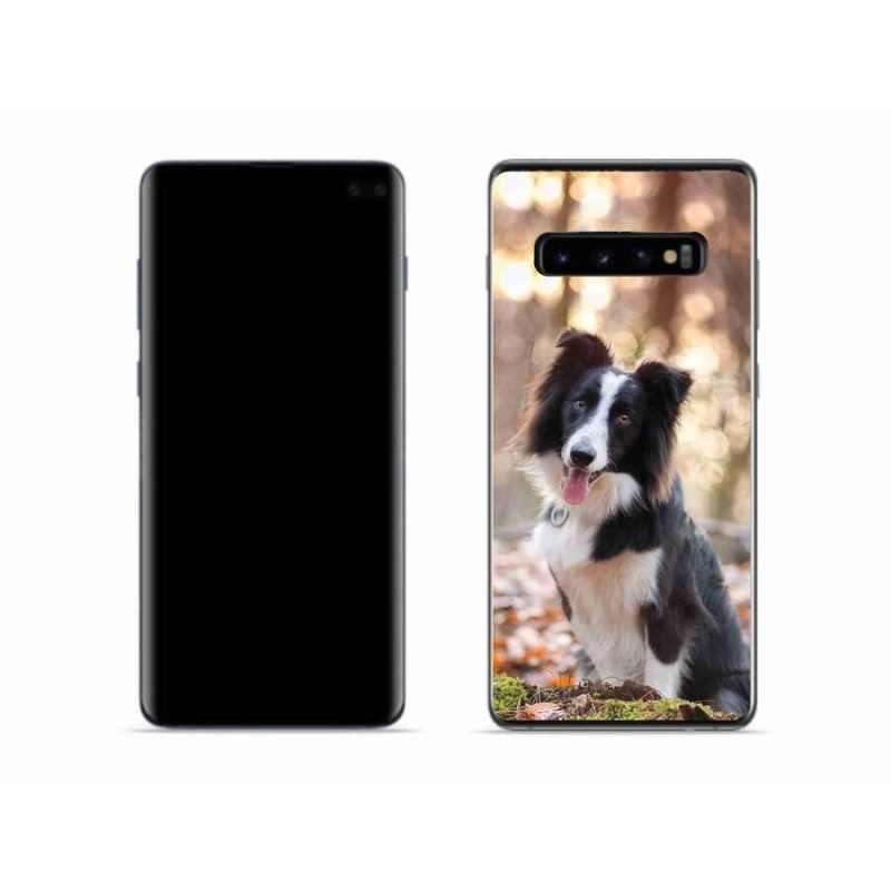 Gél tok mmCase a Samsung Galaxy S10 készülékhez - border colie 1