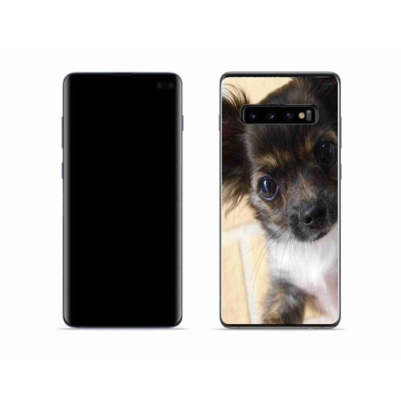Gél tok mmCase mobiltelefonhoz Samsung Galaxy S10 - chihuahua 2