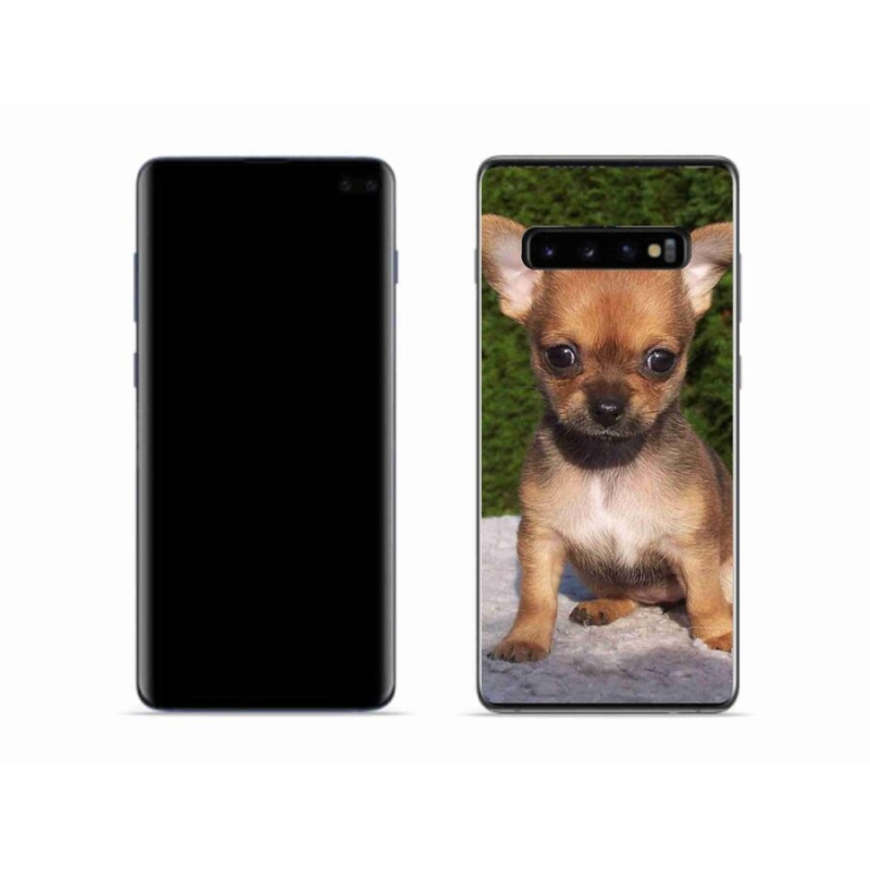 Gél tok mmCase a mobil Samsung Galaxy S10 készülékhez - chihuahua 3