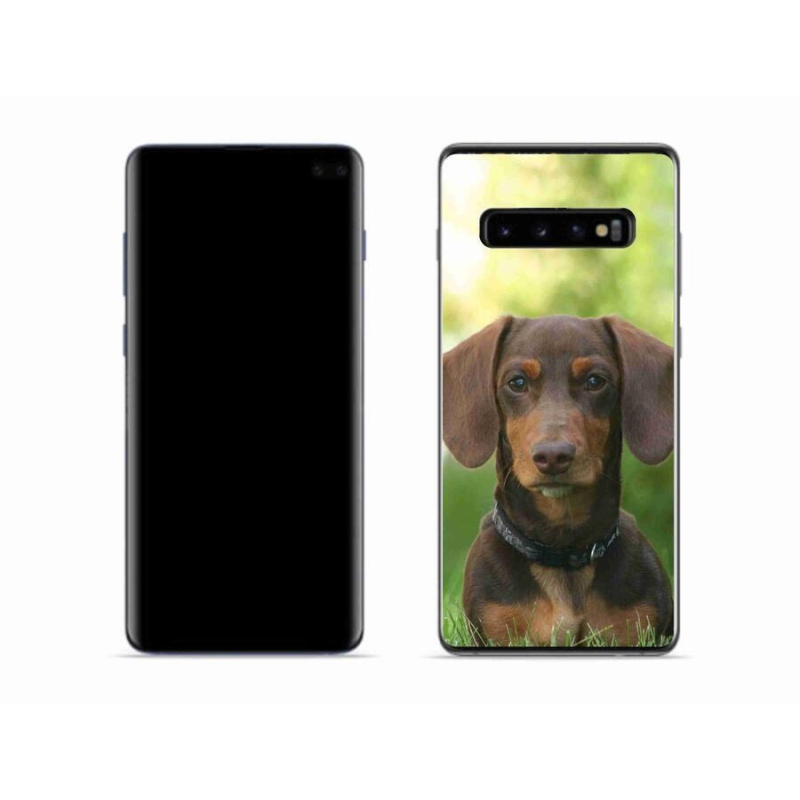 Gél tok mmCase Samsung Galaxy S10 készülékhez - barna tacskó