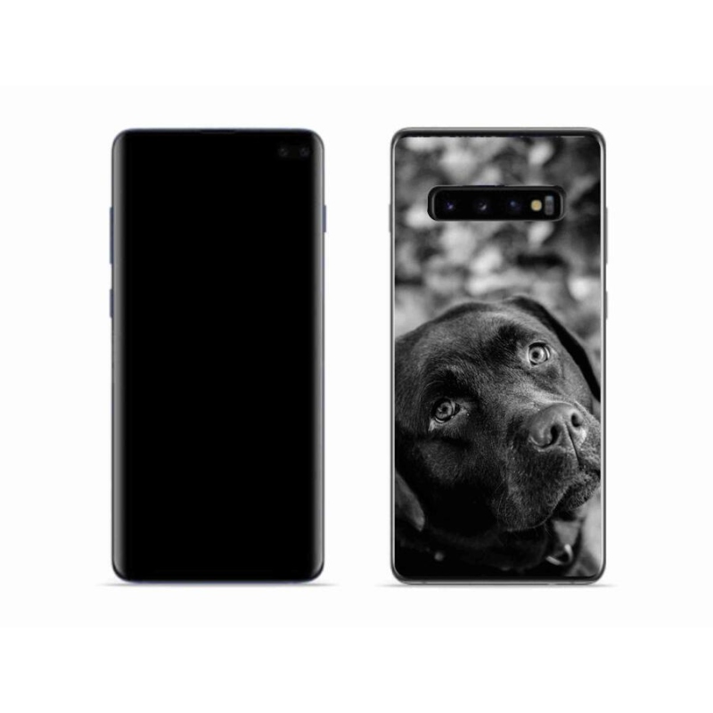 Gél tok mmCase a Samsung Galaxy S10 készülékhez - labrador