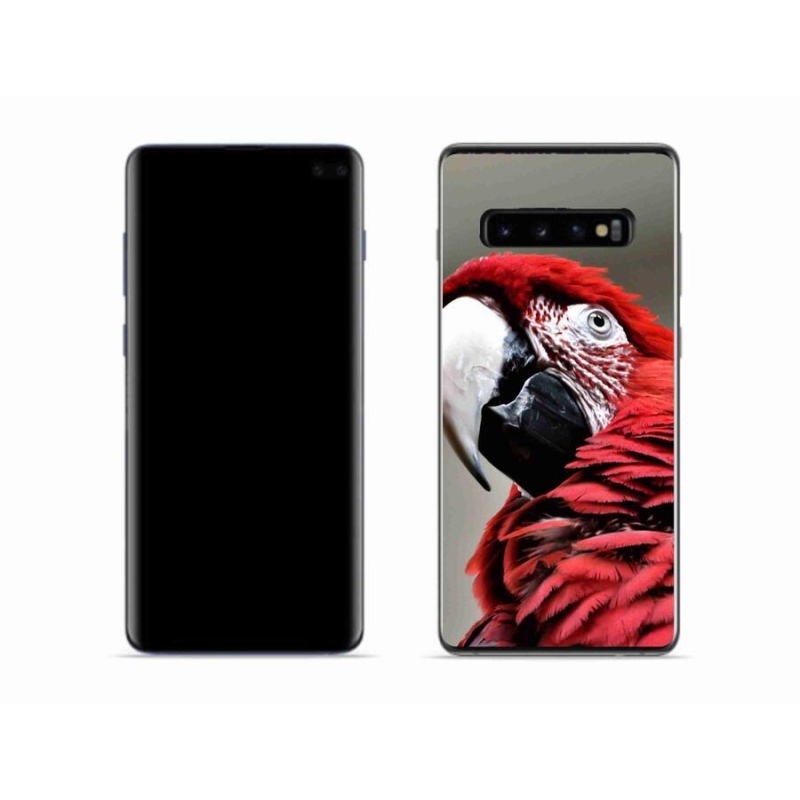 Gél tok mmCase Samsung Galaxy S10 készülékhez - papagáj ara piros