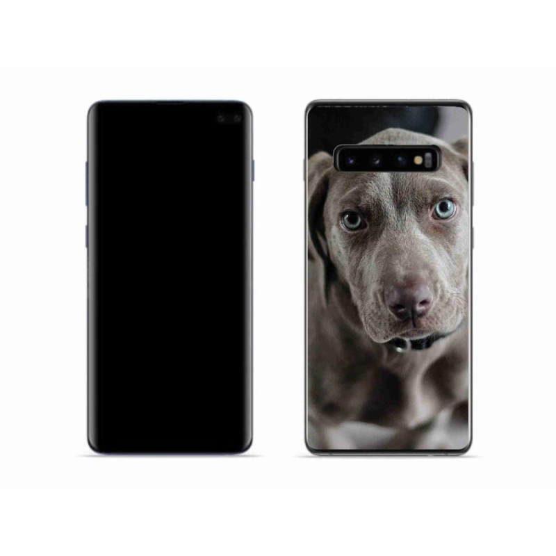 Gélhüvely mmCase Samsung Galaxy S10 mobiltelefonhoz - výmarský ohař
