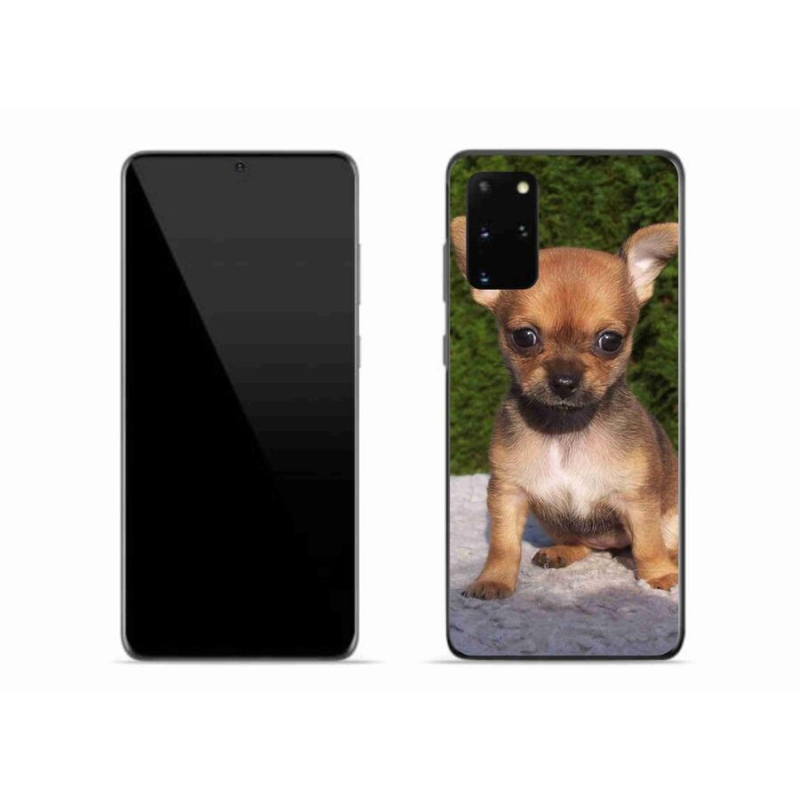 Gél tok mmCase mobiltelefonhoz Samsung Galaxy S20 Plus - chihuahua 3