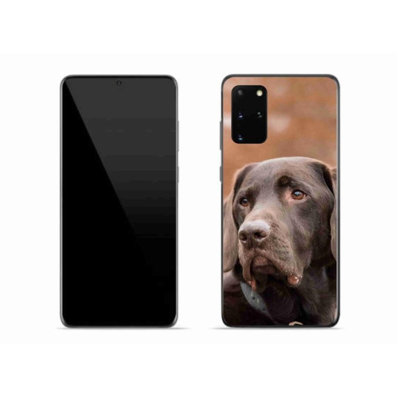 Gél tok mmCase Samsung Galaxy S20 Plus készülékhez - barna labrador