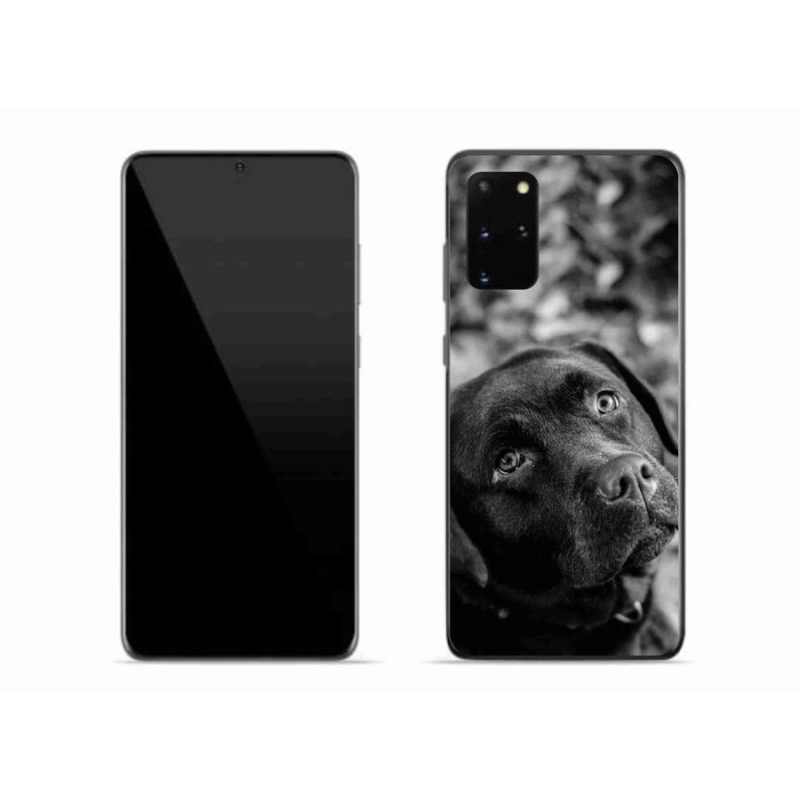 Gél tok mmCase a Samsung Galaxy S20 Plus készülékhez - labrador színben