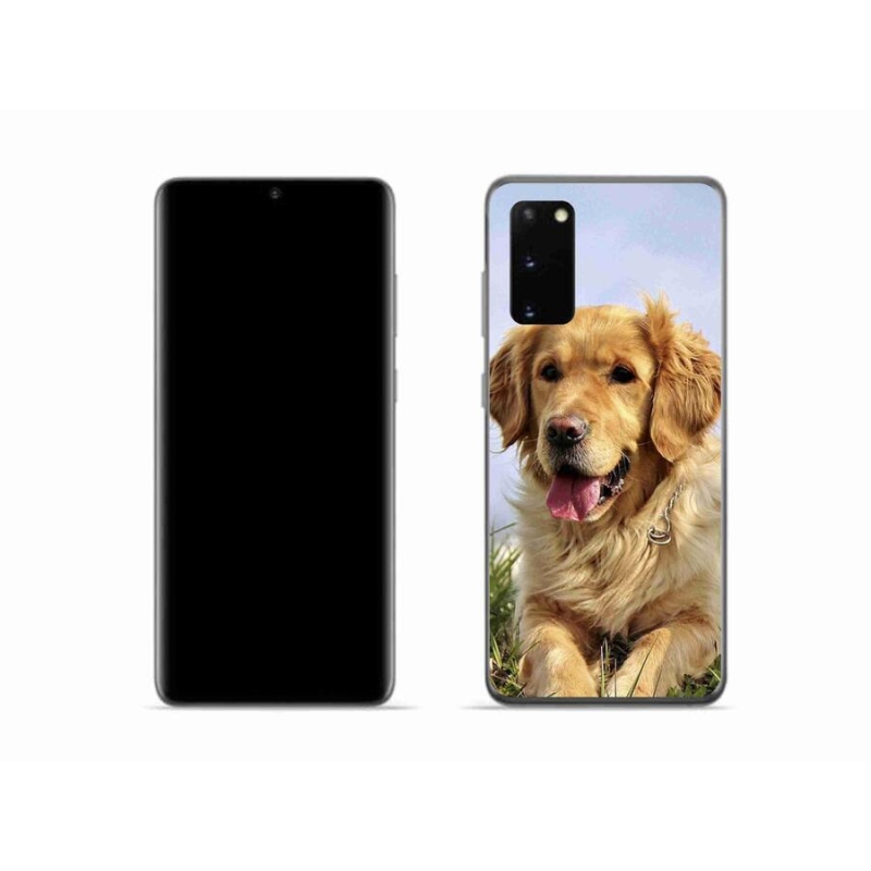 Gél tok mmCase Samsung Galaxy S20 készülékhez - arany retriever