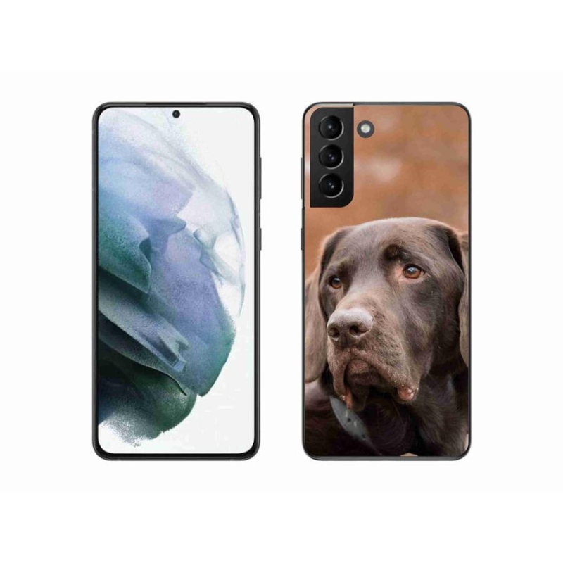 Gél tok mmCase Samsung Galaxy S21 Plus készülékhez - barna labrador